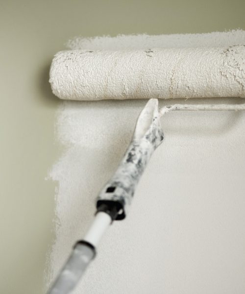 Hand painting wall with paint roller, pastel color. Appartment renovation, repair, building and home